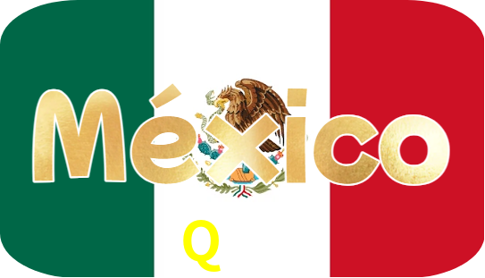 Q333 Logo